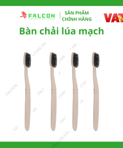 Cung cấp bàn chải lúa mạch khách sạn chuyên dụng