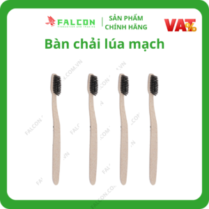 Cung cấp bàn chải lúa mạch khách sạn chuyên dụng