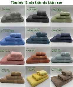 Tổng hợp các mã khăn màu tại Falcon, đa dạng các kích thước màu sắc